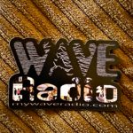 Wave Radio Magnet